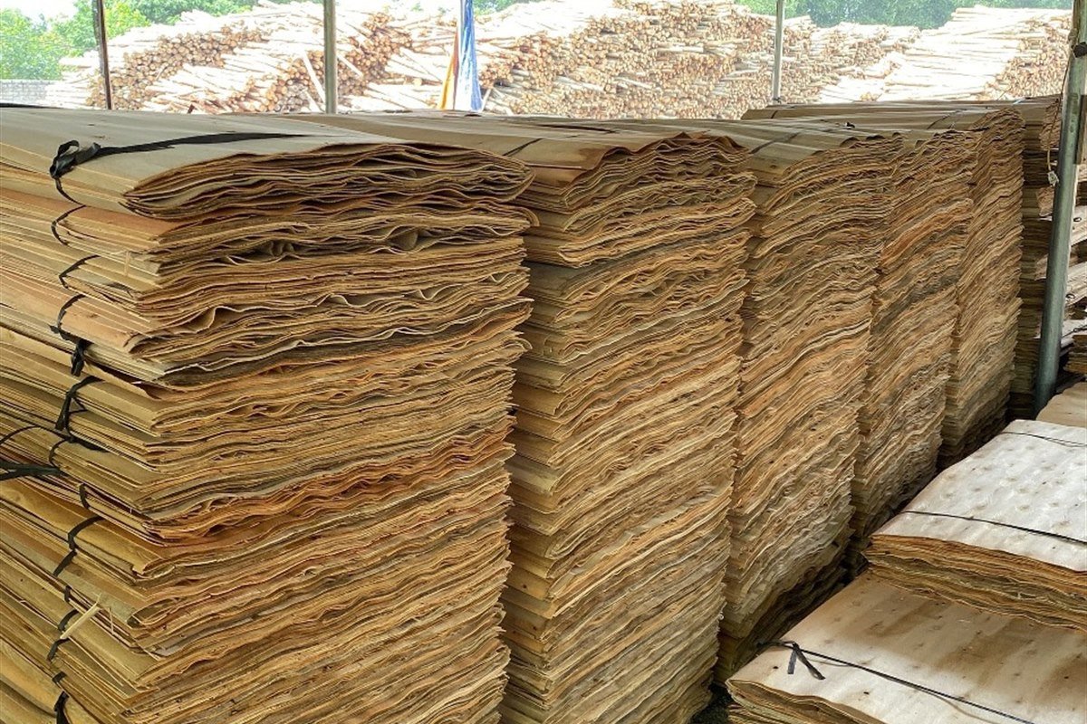 Natural wood veneer sheets prepared for supply